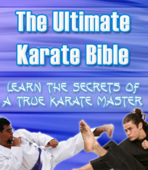 Product picture The Ultimate Karate Bible 
